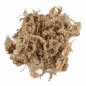Preview: Dried Sphagnum moss from Chile 5 kg