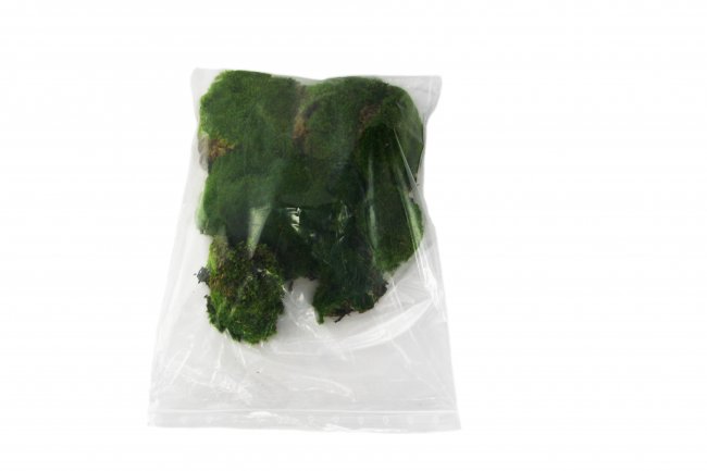 Cushion moss 1000g