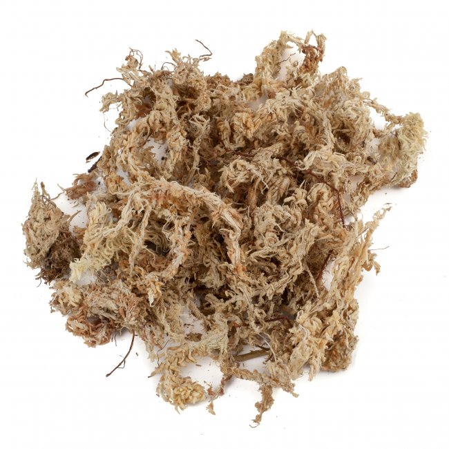 Preview: Dried Sphagnum moss from Chile 5 kg