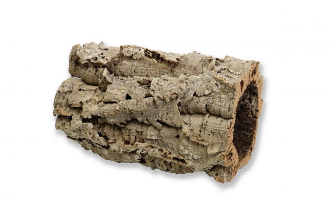 Kork Oak tube 30cm long
