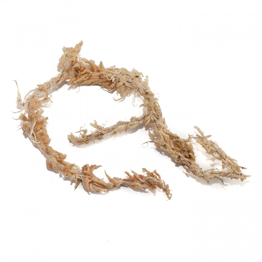 Dried Sphagnum moss from Chile 5 kg