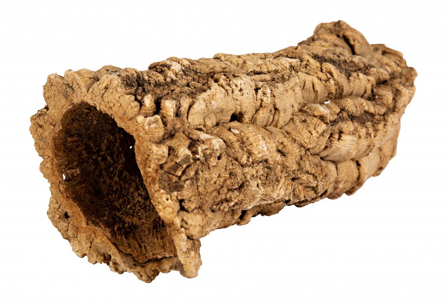 Cork oak bark tubes 6-7 pieces 15-20cm
